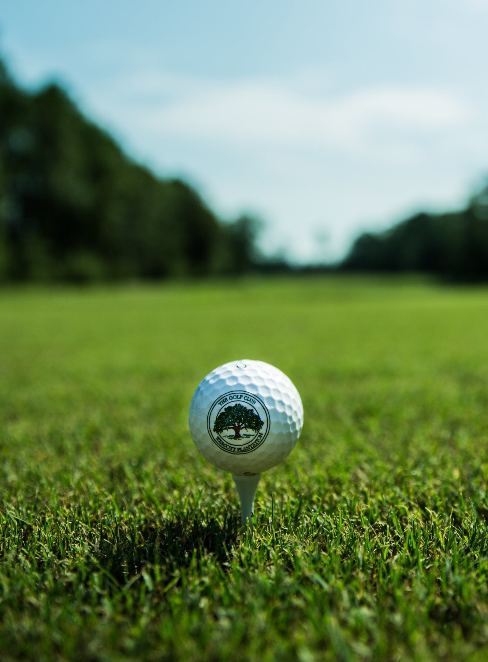 Golf essentials